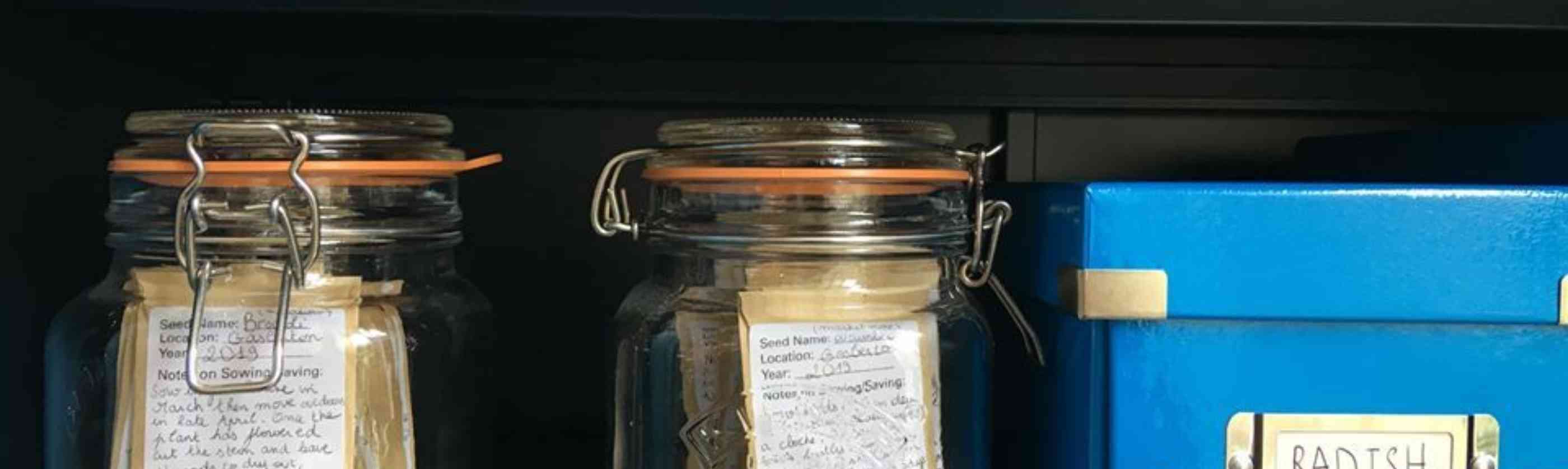 Seed Library 7