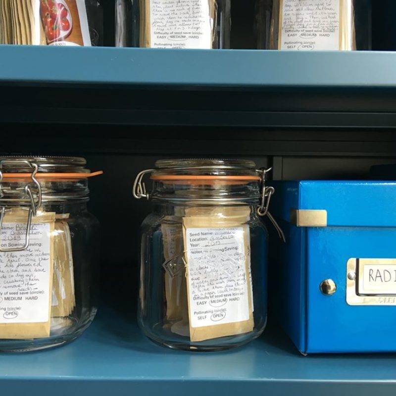 Seed Library 7 Seed Library 7