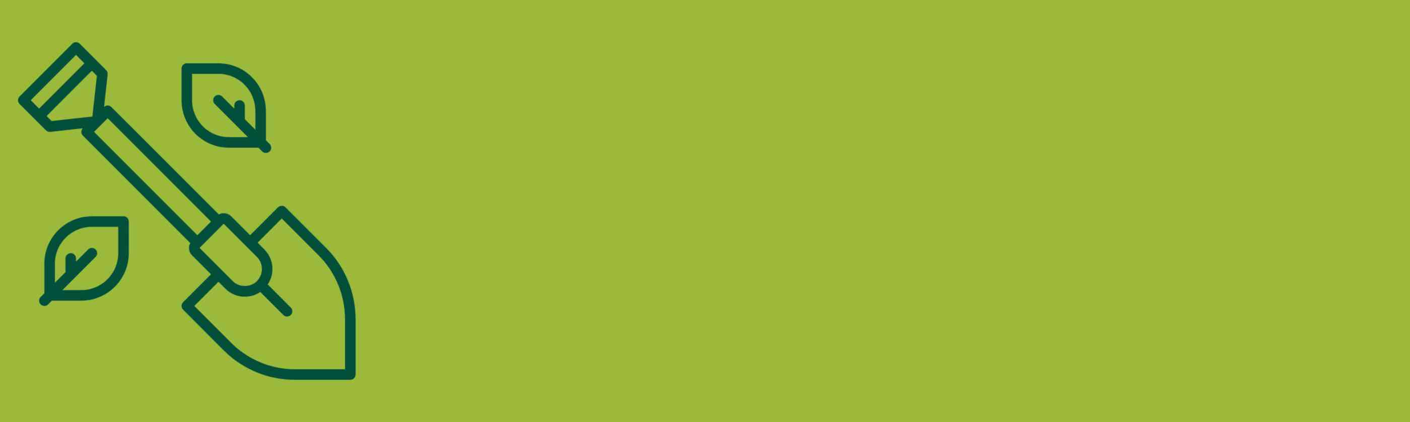 Board I Web Banner