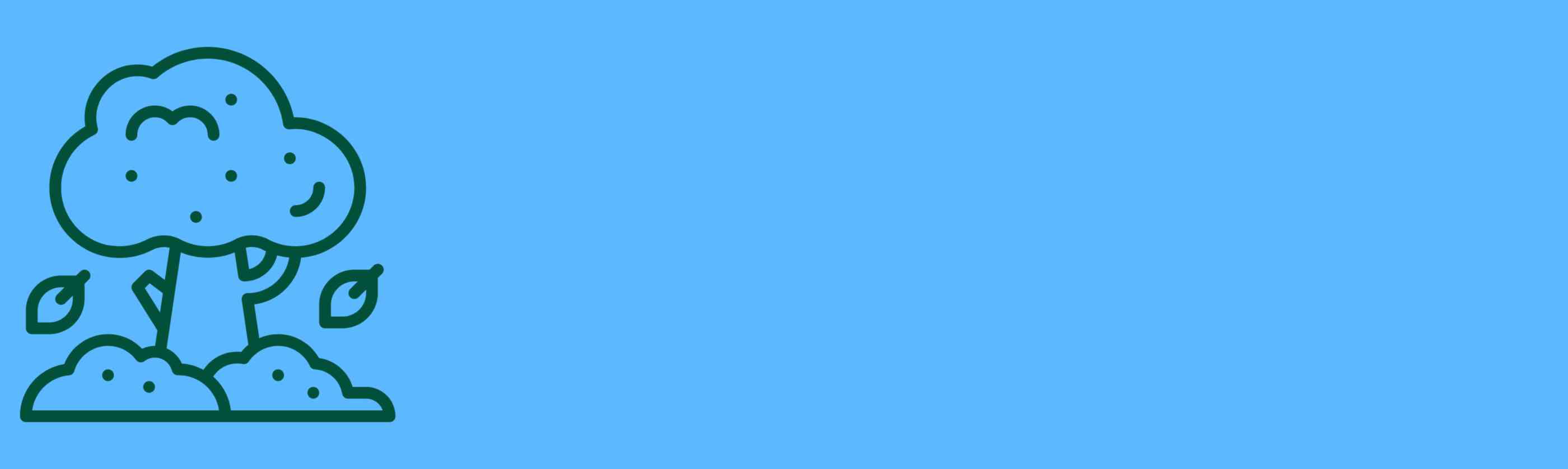 Mary Web Banner