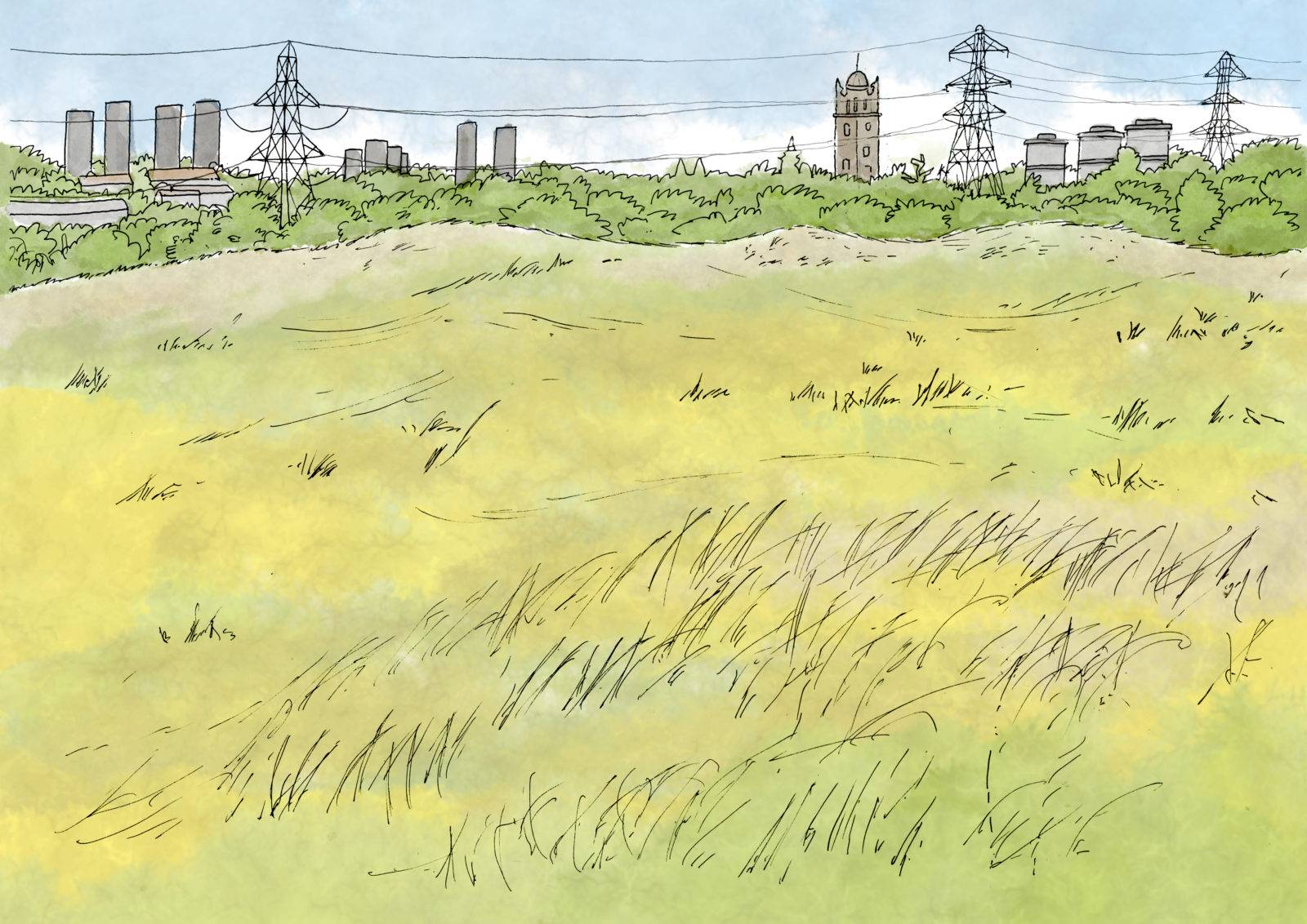 Land Illustrations Site1A Land Illustrations Site1A