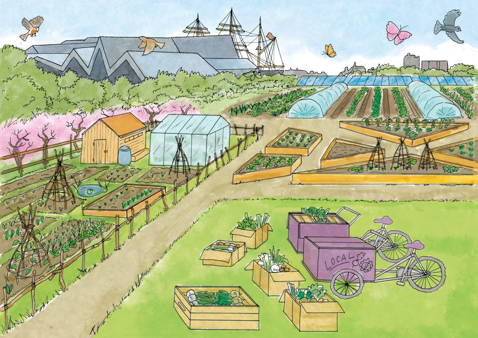 Land Illustrations Site3B Land Illustrations Site3B