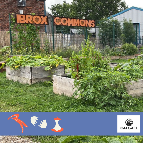 A set of well planted raised beds with an orange sign reading 'Ibrox Commons' in the background. Logo: Galgael A set of well planted raised beds with an orange sign reading 'Ibrox Commons' in the background. Logo: Galgael