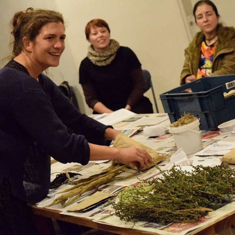 Seed Library 3