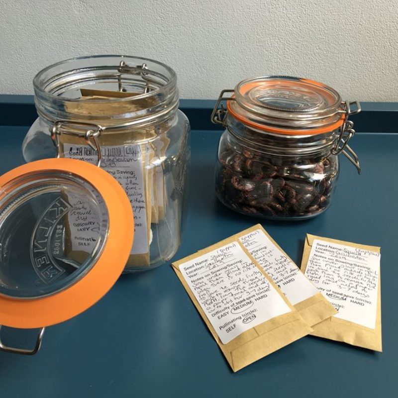 Seed Library 6