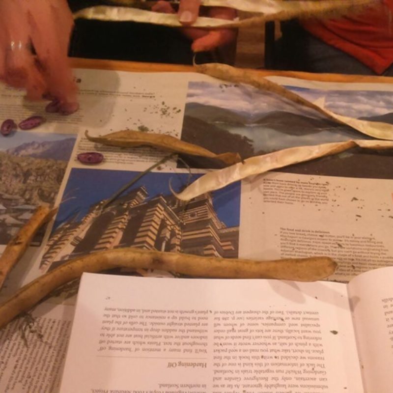 Seed Library 5