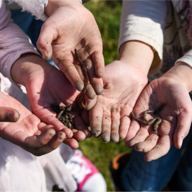Composting Funded Group Banner Composting Funded Group Banner